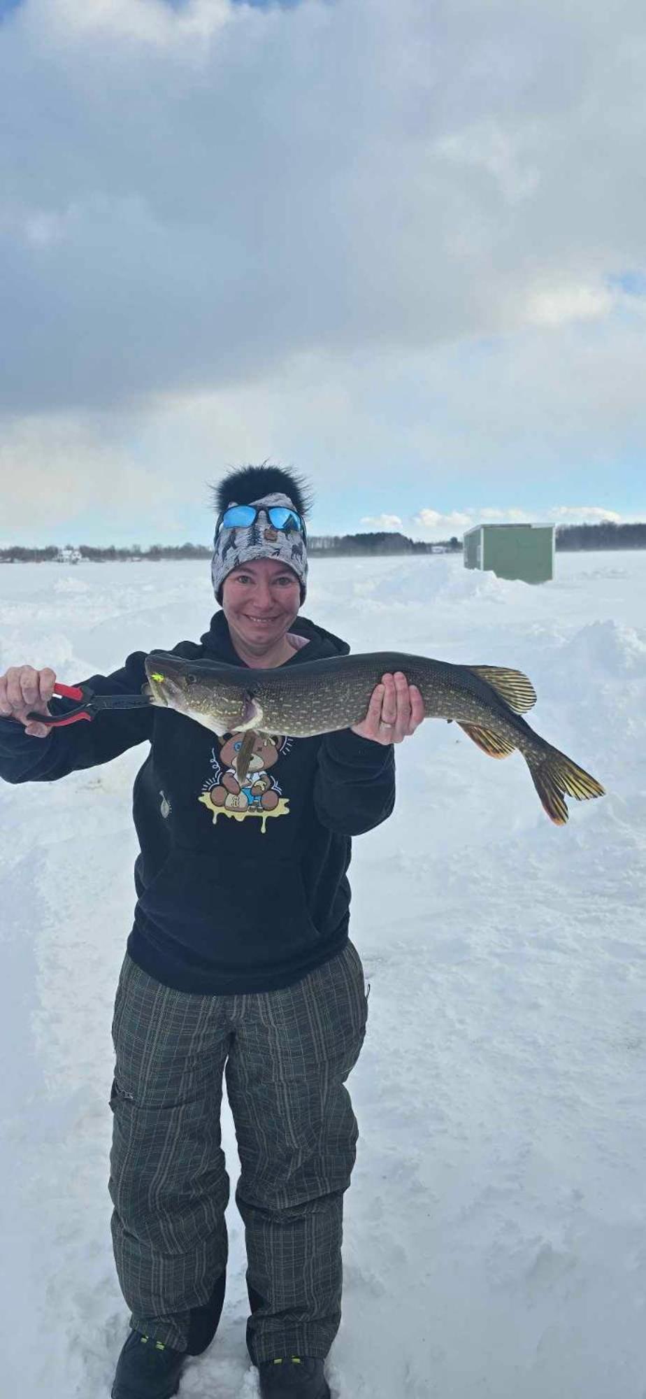 Stoco Lake Lodge Tweed Bagian luar foto